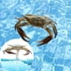 thumbnail image 4 of Xihbxyly Artículos de Clarence Piscina Flotante 1 Ml En Cuerda para Exteriores, Piscina, Spa, Bañera, Acuario y Estanque de Peces, 4 of 7