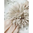 thumbnail image 5 of Baby Girl Ruffle Romper Lace Tutu Dresses Embroidered Sleeveless Summer Outfit, 5 of 8