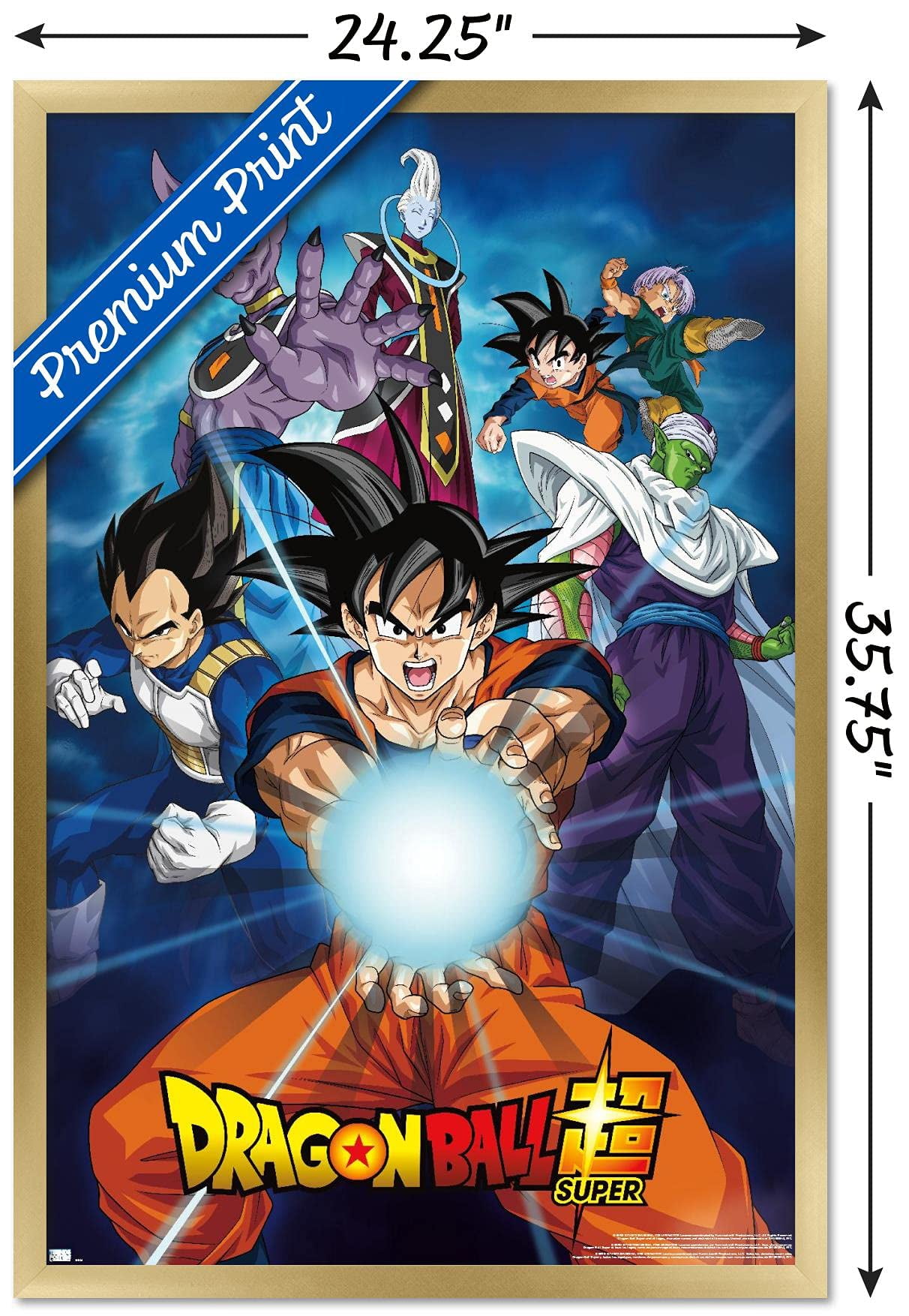 Dragon Ball Super - Groups Wall Poster, 22.375