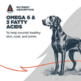 thumbnail image 2 of Blackwood Dry Dog Food Lamb & Chicken Meal with Ancient Grains 10 lb., 2 of 8