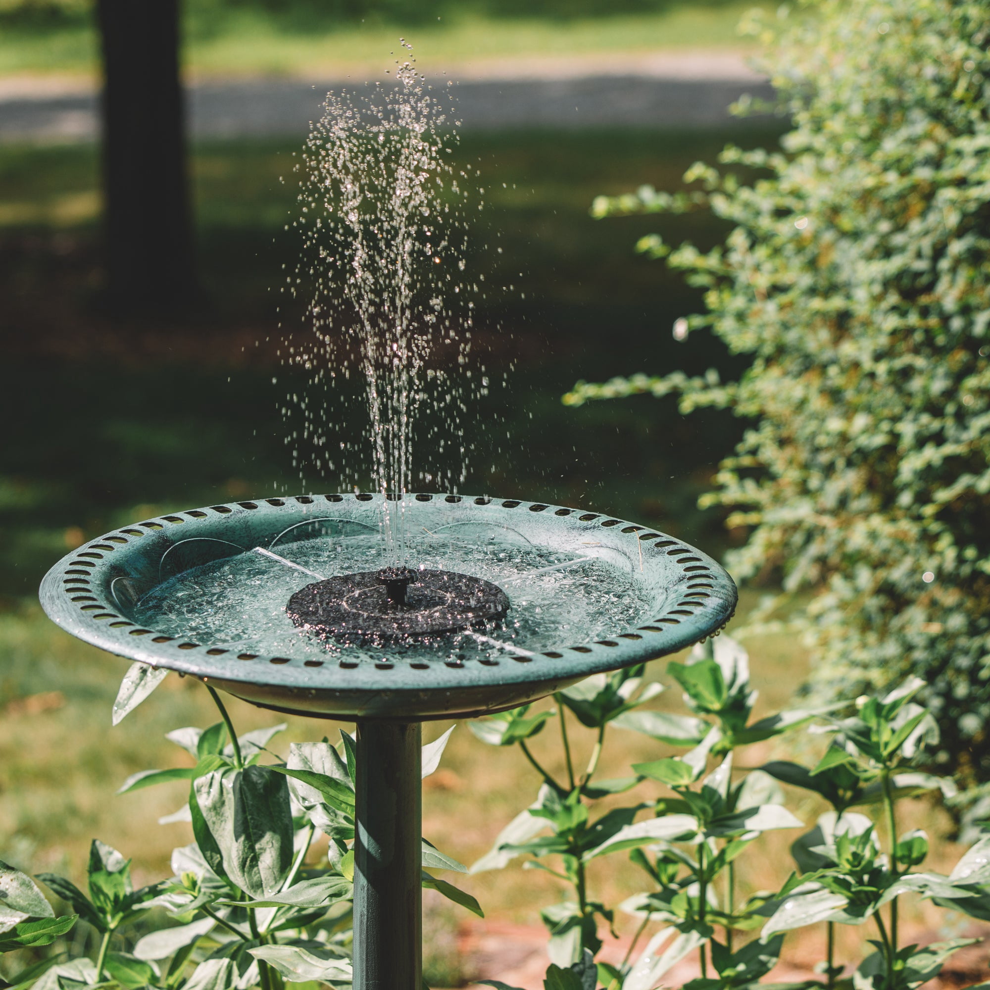 Backyard Expressions Solar Pump Outdoor Bird Bath Fountain, Antique Green Finish