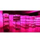 thumbnail image 5 of El Cultivar Un LED Crece El Espectro Completo Ligero Para Las Plantas De Interior Veg Y La Flor Soledad LED crece la luz, 5 of 9