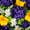 Purple Yellow, variant on Sympathy Silks Artificial Purple Flowers for Cemetery with Vase Bouquet