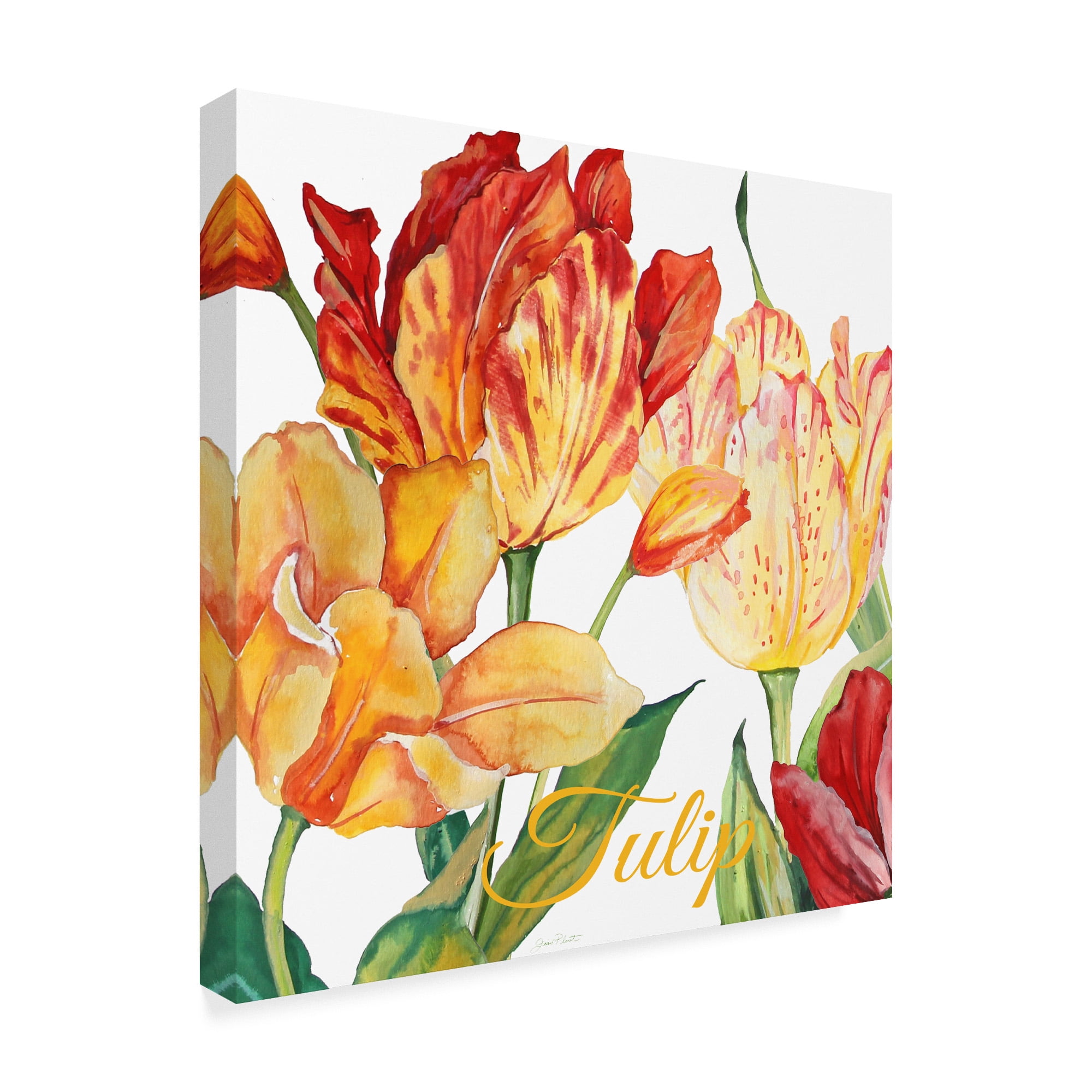 Trademark Fine Art 'Tulip Red Orange' Canvas Art by Jean Plout