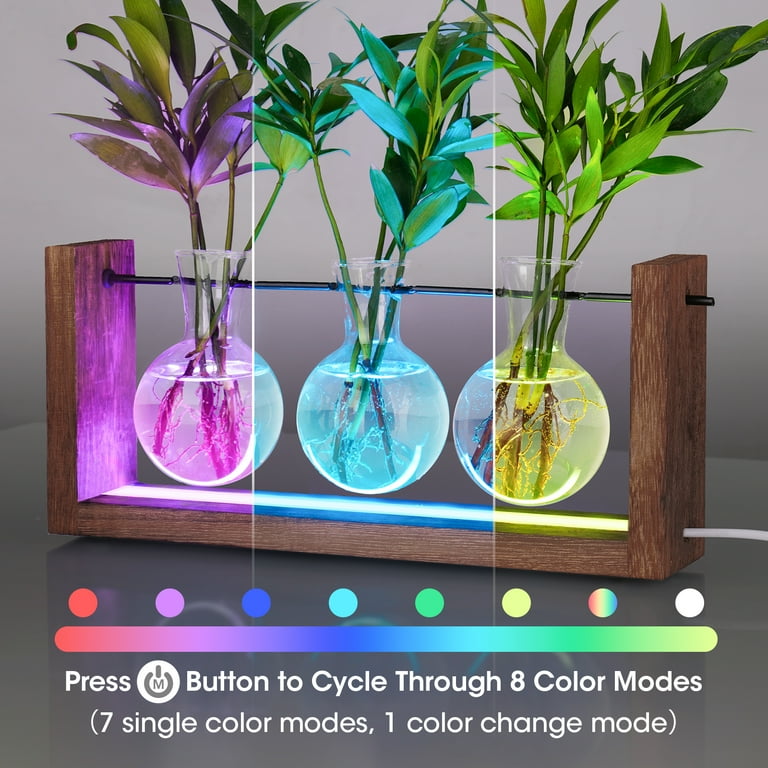 self-watering pots for indoor plants LSA Canopy Self-Watering Planter