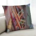 thumbnail image 1 of Ahgly Company Foods Carrot Indoor Throw Pillow, 18 inch by 18 inch, 1 of 6