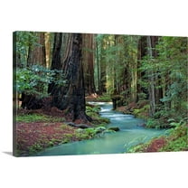 Great Big Canvas "Redwood Forest II" by Rita Crane Forest Green White Wrapped Canvas Print Wall Artwork