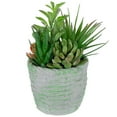 thumbnail image 4 of Northlight 8.5" Mixed Succulent Artificial Potted Arrangement - Green/Brown, 4 of 6