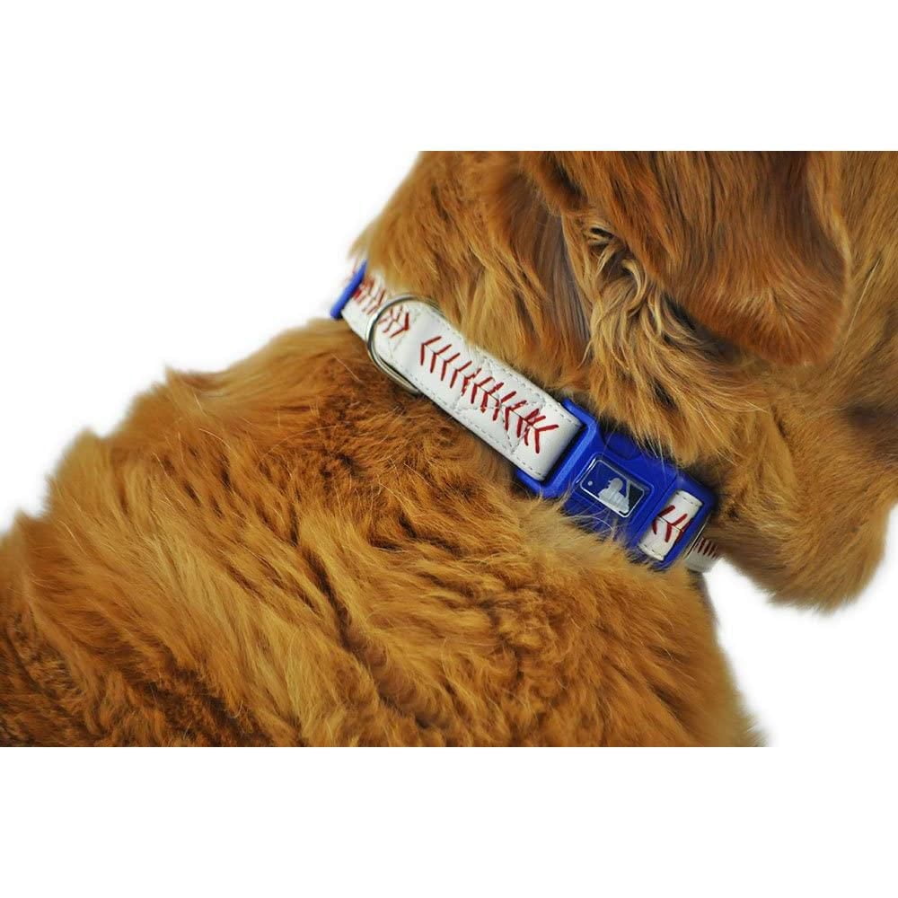 Ensemble collier et laisse officiel des Blue Jays de Toronto Silverpaw