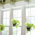 Walmart+ Deals, 1X Hook Sturdy Hanging Plant Bracket Decorative Plant
