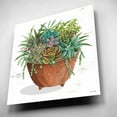thumbnail image 6 of Epic Art 'Terracotta Succulents I' by Cindy Jacobs, Acrylic Glass Wall Art, 12"x12", 6 of 13