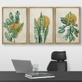 thumbnail image 2 of wall26 Framed Canvas Print Wall Art Set Mid-Century Minimal Tropical Plants Nature Wilderness Illustrations Modern Art Bohemian Decorative for Living Room, Bedroom, Office - 24"x36"x3 Natur, 2 of 5