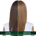 thumbnail image 4 of Tinte para cabello Nutrisse Oleos sin amoniaco 8.0 rubio claro, 4 of 6