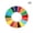 A2, variant on Enamal 17 Colors Sustainable Development Goals Brooch United Nations SDGs Pin!-A3