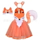 thumbnail image 3 of Festival 2024 Disfraz de mapache para cosplay, disfraz de animal para niñas, vestido de tutú, disfraz de carnaval, cumpleaños, fantasía, zoológico para niños, 3 of 5