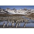 thumbnail image 2 of Paulson, Don 32x23 White Modern Wood Framed Museum Art Print Titled - South Georgia Island, King penguin colony, 2 of 4