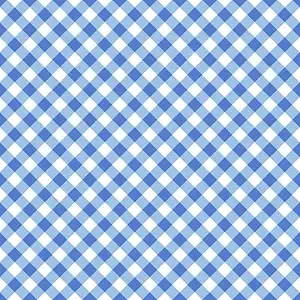 Blue Gingham Edible Image Cake Topper For Quarter Sheet Cake By TNCT