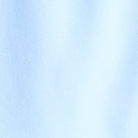 Blue Jay