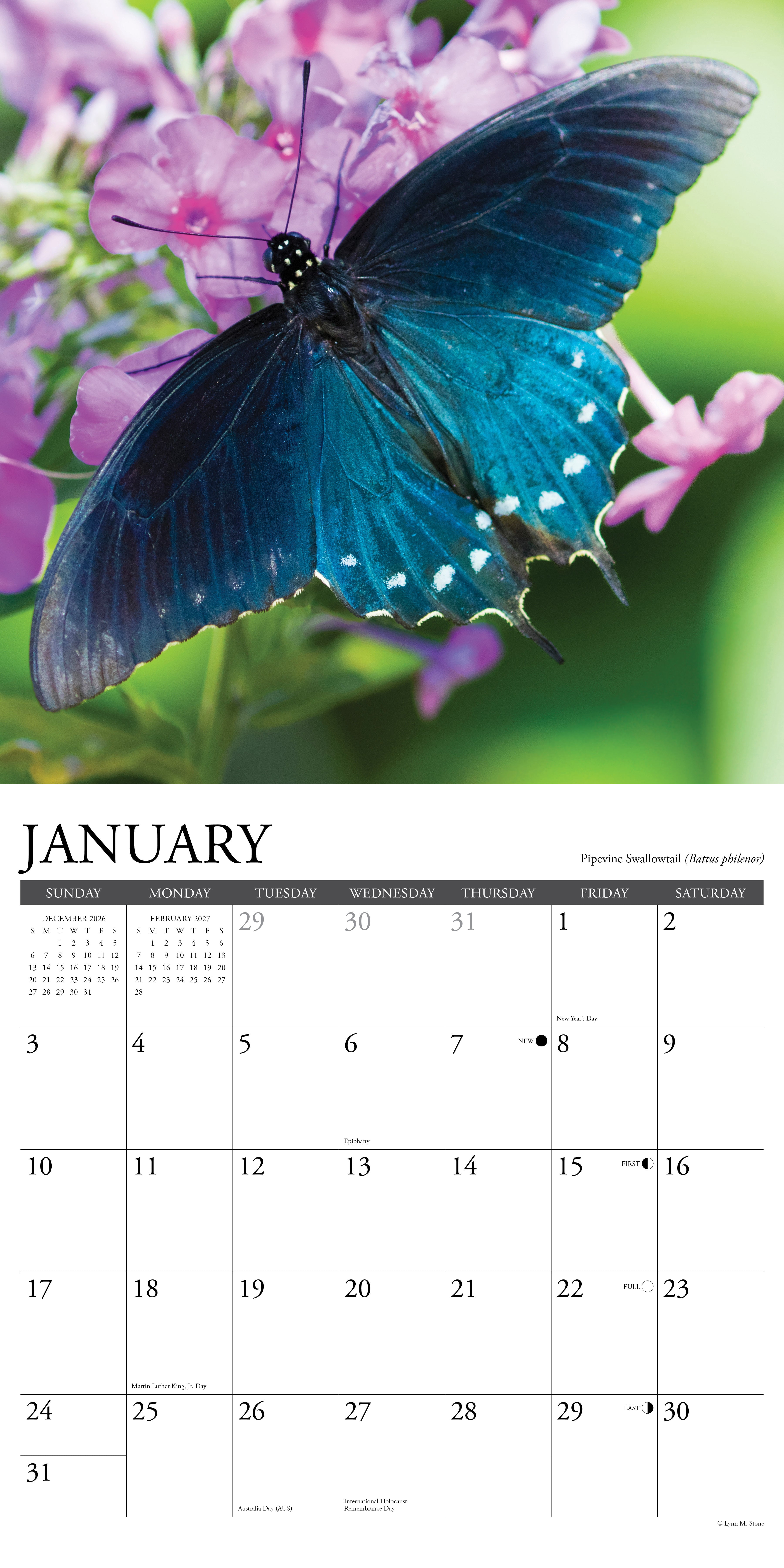 Willow Creek Press, Butterflies of North America 2027 Wall Calendar