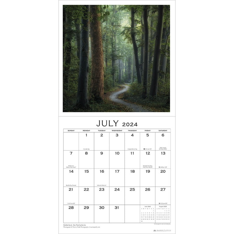 Soul of the Forest 2024 Wall Calendar: Traveling the Globe, Connecting the  World