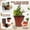 red #121, variant on 50 Pack Dual-Color Master Nursery Pots for Seedlings, Flexible Plastic Plant Pots with Drainage Holes, Indoor Outdoor Gardening Starter Containers