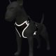 thumbnail image 2 of Dog Harness Adjustable Pet Harness Breathable Dog Chest Straps, 2 of 5