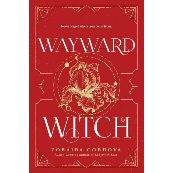 Brooklyn Brujas Wayward Witch, Book 3, (Paperback)