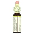 thumbnail image 3 of Bach Original Flower Remedies, Chestnut Bud, 0.35 fl oz (10 ml), 3 of 5