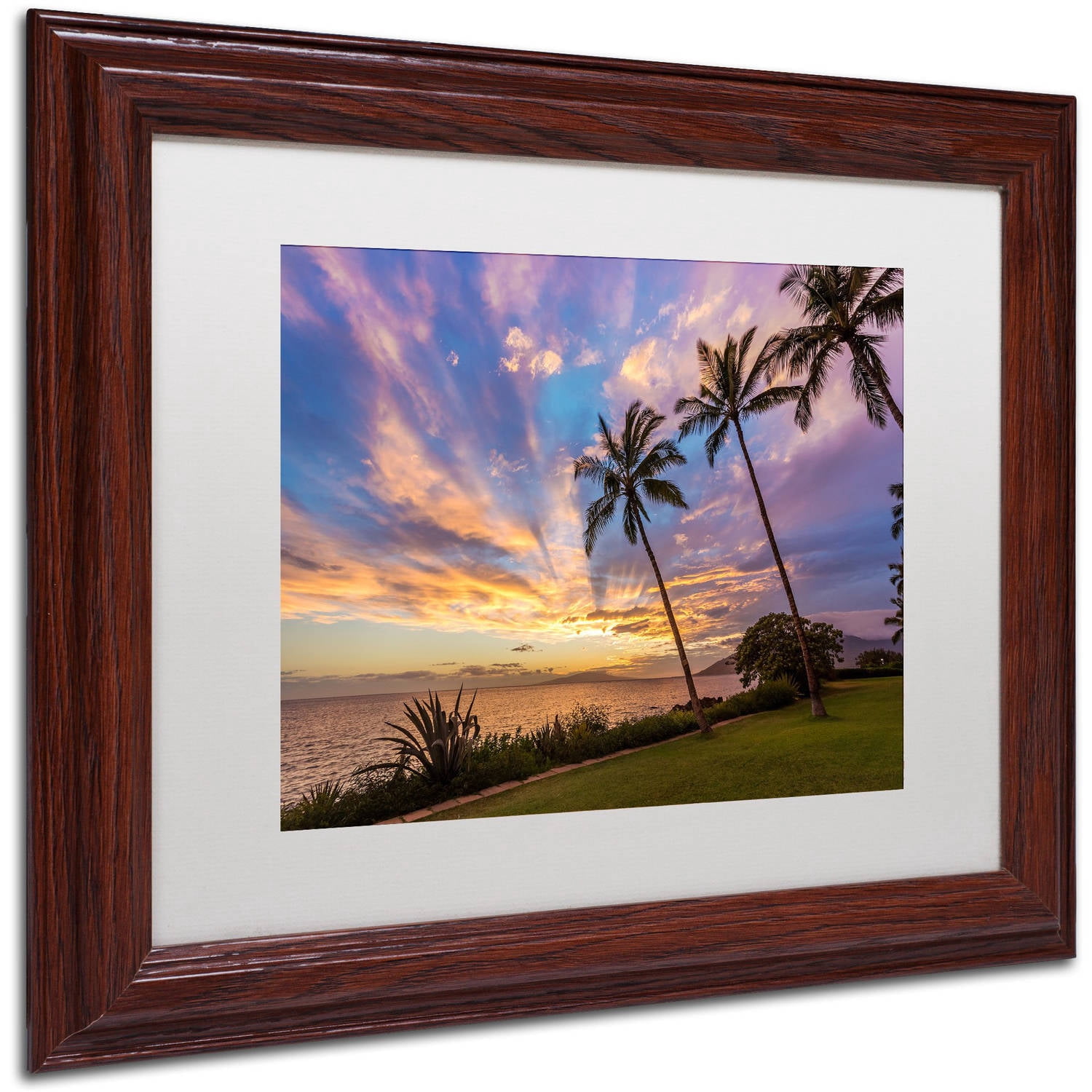 Trademark Fine Art 'Magical Hawaiian Sky' Canvas Art by Pierre Leclerc, White Matte, Wood Frame
