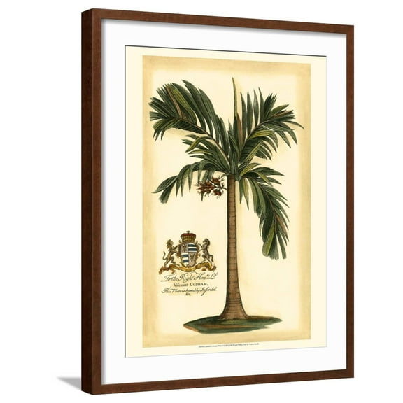 Art.com British Colonial Palm I Art Print, Brown Frame Wall Art, 23" x 29"