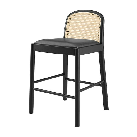 NPD Furniture Donna Faux Leather Rattan Counter Stool in Black (Set of 2)