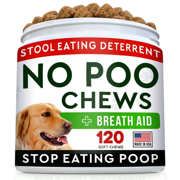 how to stop a dog from eating poop pumpkin