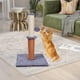 thumbnail image 5 of Rascador para gatos, poste de juego de sisal, centro de actividades, casa para mascotas, gatito gris claro, 5 of 6