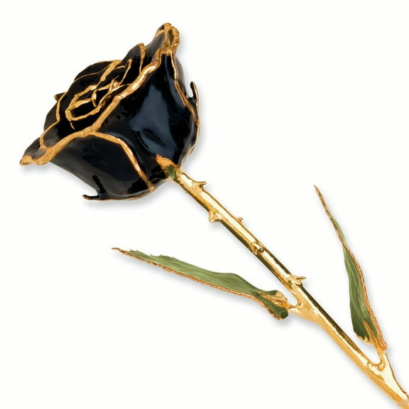 Lacquer Dipped Gold Trim Black Rose