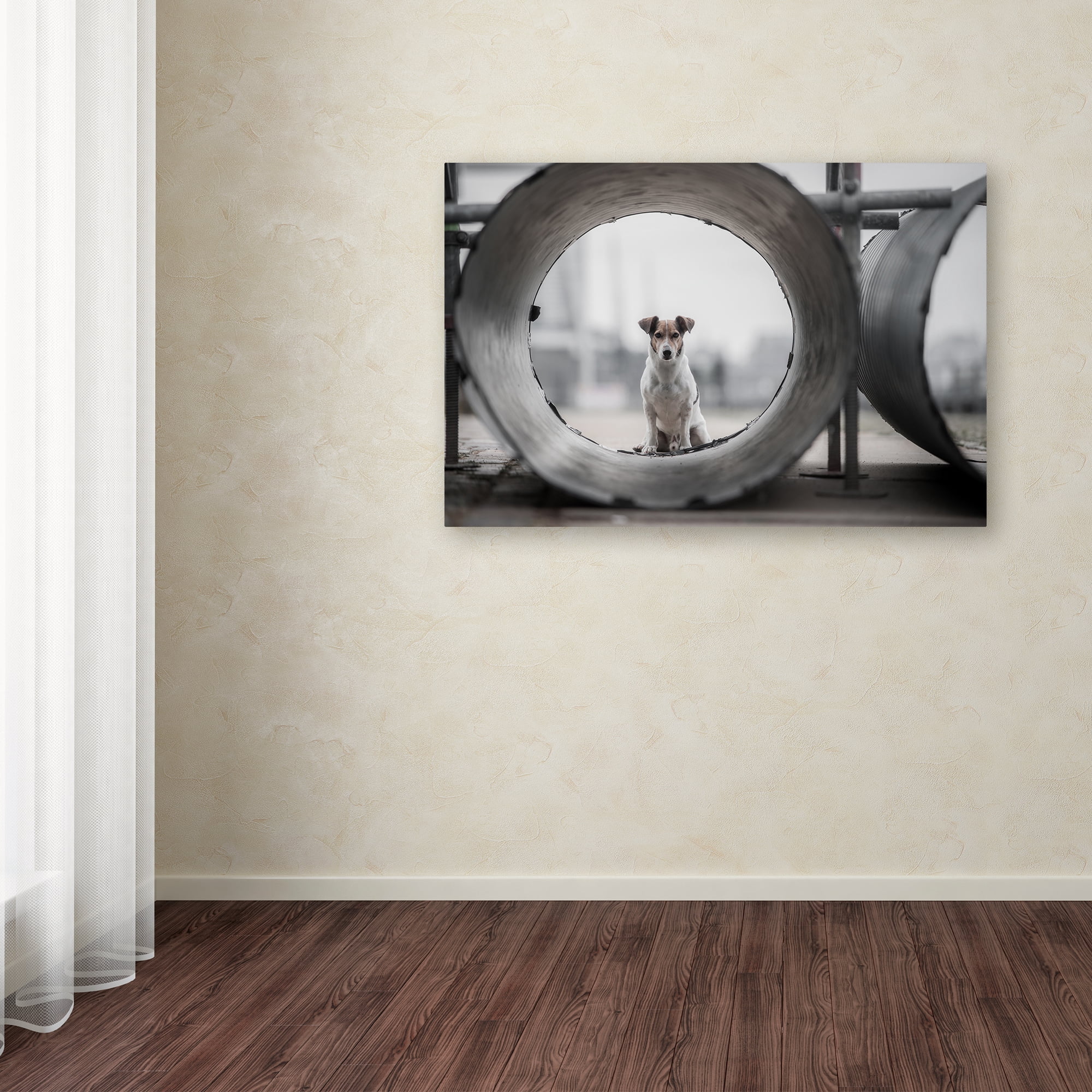 Trademark Fine Art 'My Name Is Bond' Canvas Art by Heike Willers