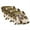 Aztec Highland Cattle Sunflower, variant on Xoenoiee Beach Turtle Print 3-Piece Couch Cushion Covers Stretch Sofa Seat Slipcovers with Non-Slip Elastic Bottom, Starfish Seashell Leaves Washable Jacquard Furniture Protector for 3 Cushion Couch