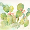 thumbnail image 2 of Coulter, Cynthia 15x15 White Modern Wood Framed Museum Art Print Titled - Cactus Garden I, 2 of 4