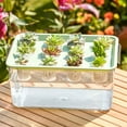 thumbnail image 4 of YAOMOBB Twelve Holes Hydroponic Box Transparent Hydroponic Planter Box with 12 Holes Lid Handle Plastic Rectangle Holder Desktop Plants Container Easy Care, 4 of 7