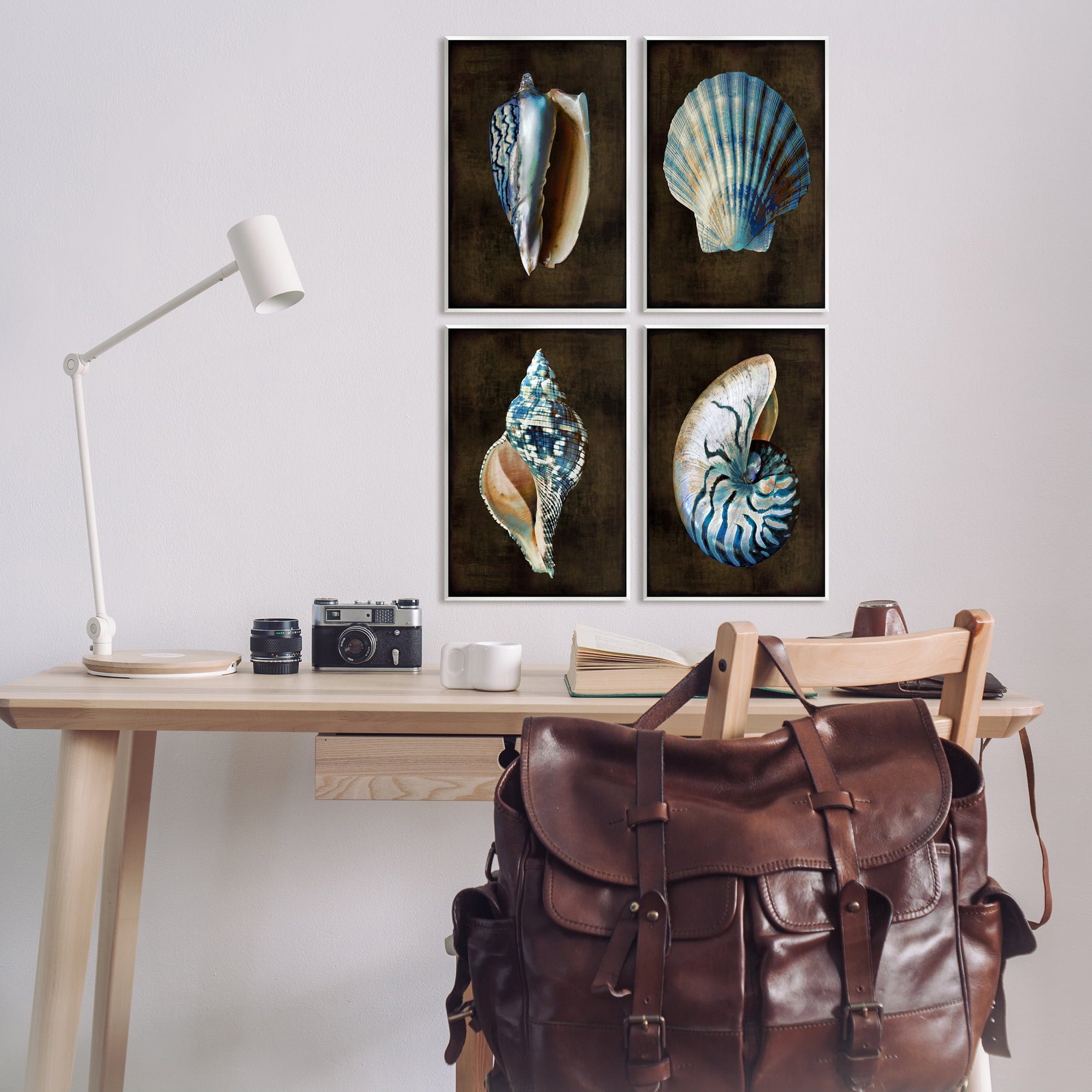Stupell Industries Seashells on Black Animals & Insects Painting Unframed Art Print Wall Art, 10 x 15, Set of 4