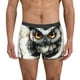 thumbnail image 1 of Balery Whimsical Owl On Branch Calzoncillos bóxer para hombre, ropa interior de algodón suave y transpirable con cinturilla de nailon-Large, 1 of 5