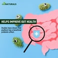 thumbnail image 3 of miNATURALS Psyllium Husk Fibre Capsules Supplement 525 mg, Value Pack, 500 Capsules, 3 of 9