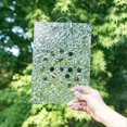 thumbnail image 1 of 1 Set Acrylic Mounting Board Plant Mounting Board Plant Mounting Board Mounted Plant Board Acrylic Plant Board Orchid Mounting Board, 1 of 3