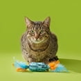 thumbnail image 2 of Vibrant Life Blue Candy-Shaped Catnip Cat Toy with Feathers, 2 of 8