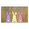 thumbnail image 2 of Kayannuo Bedroom Decor Christmas Clearance Easter Doormat Easter Eggs Rabbit Entryway Front Porch Rugs Anti-Skid Bottom Floor Indoor Outdoor Carpet for Home Patio Home Decor Living Room Decor, 2 of 7