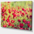 thumbnail image 2 of Beautiful Poppy Flowers Background - Large Flower Canvas Art Print, 2 of 3