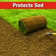 thumbnail image 4 of I Must Garden Armadillo Repellent: 32 oz Hose End Concentrate, 4 of 6