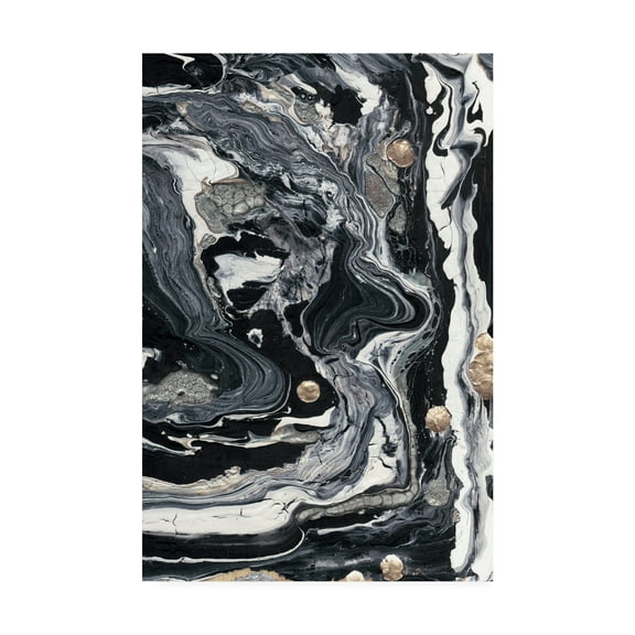 Trademark Fine Art 'Ebony And Ivory II' Canvas Art by Alicia Ludwig