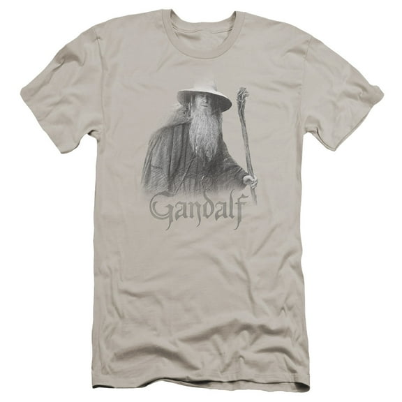 Lord of the Rings Gandalf The Grey Premium Canvas Adult Slim Fit 30/1 T-Shirt Silver