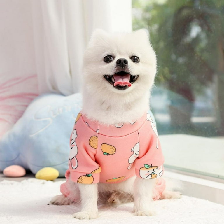 Pomeranian onesie sale
