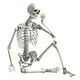 thumbnail image 4 of Esqueleto de Halloween de 16 pulgadas, decoración Flexible de Halloween, modelo de esqueleto de cuerpo completo para césped delantero, accesorio de Sunnimix esqueleto de halloween, 4 of 8